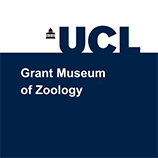 Grant Museum of Zoology